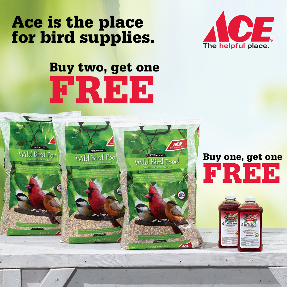 May 2017 Memorial Day Bird Supplies Sale