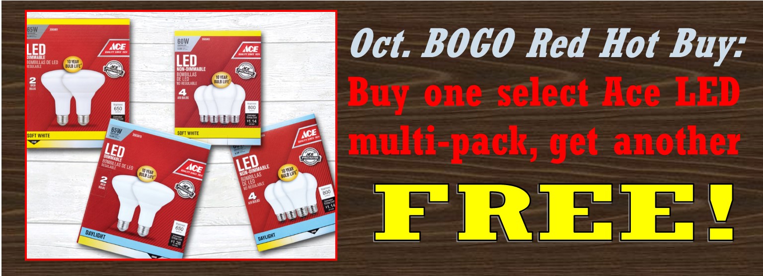 Oct RHB BOGO LEDs