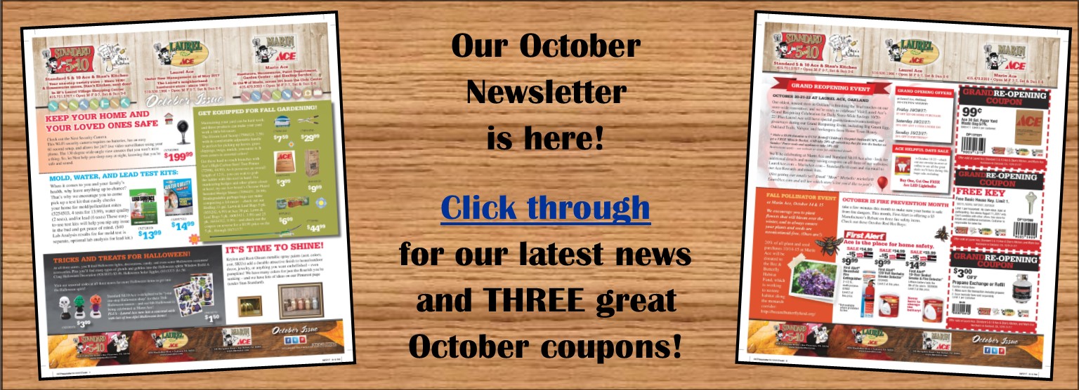 October Newsletter