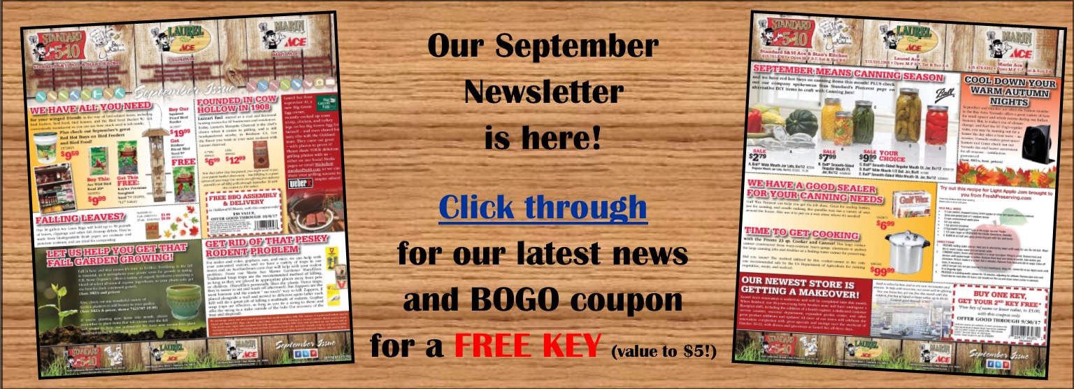 September Newsletter