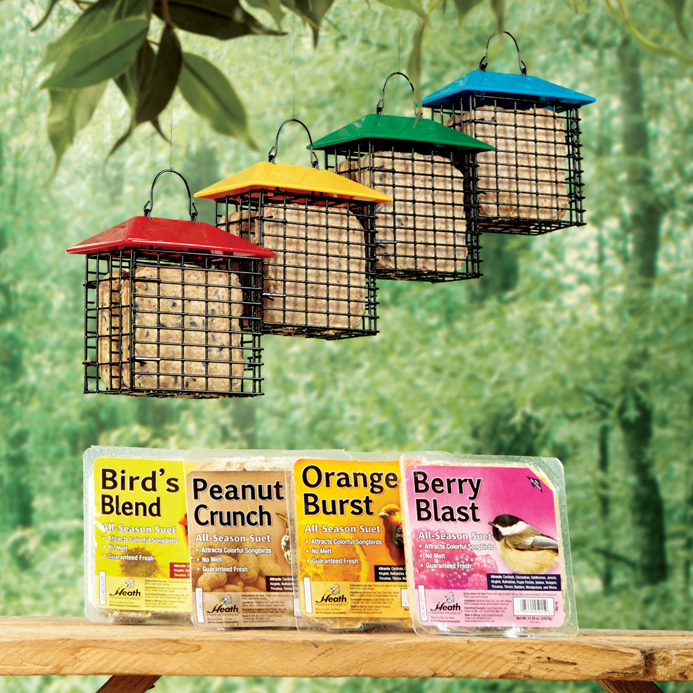 March 2018 Bird Seed B3G1