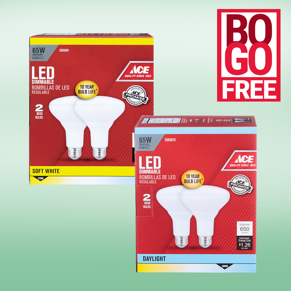 April 2018 LED BOGO