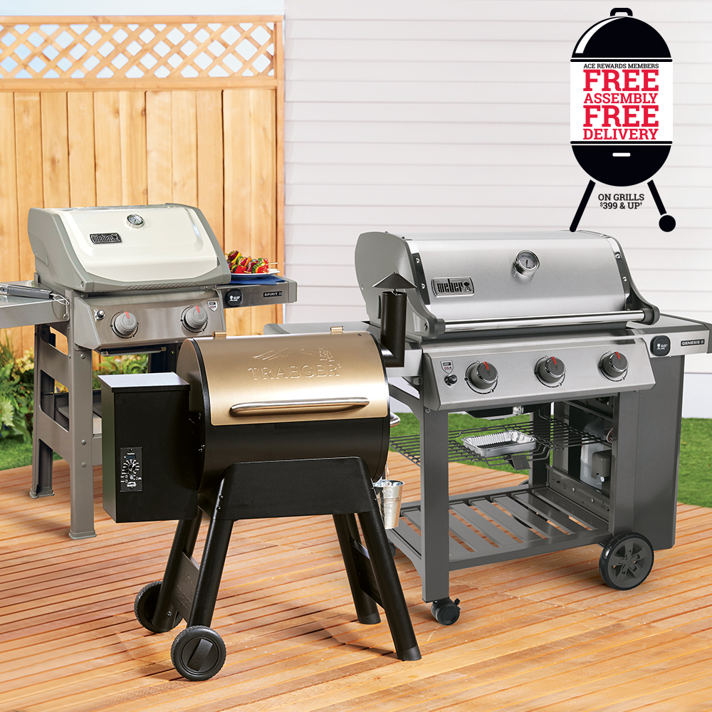 May 2018 Traeger Weber Free Assembly Delivery