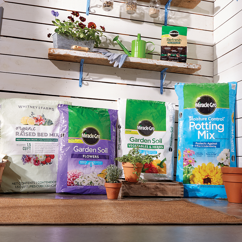 Miracle Gro