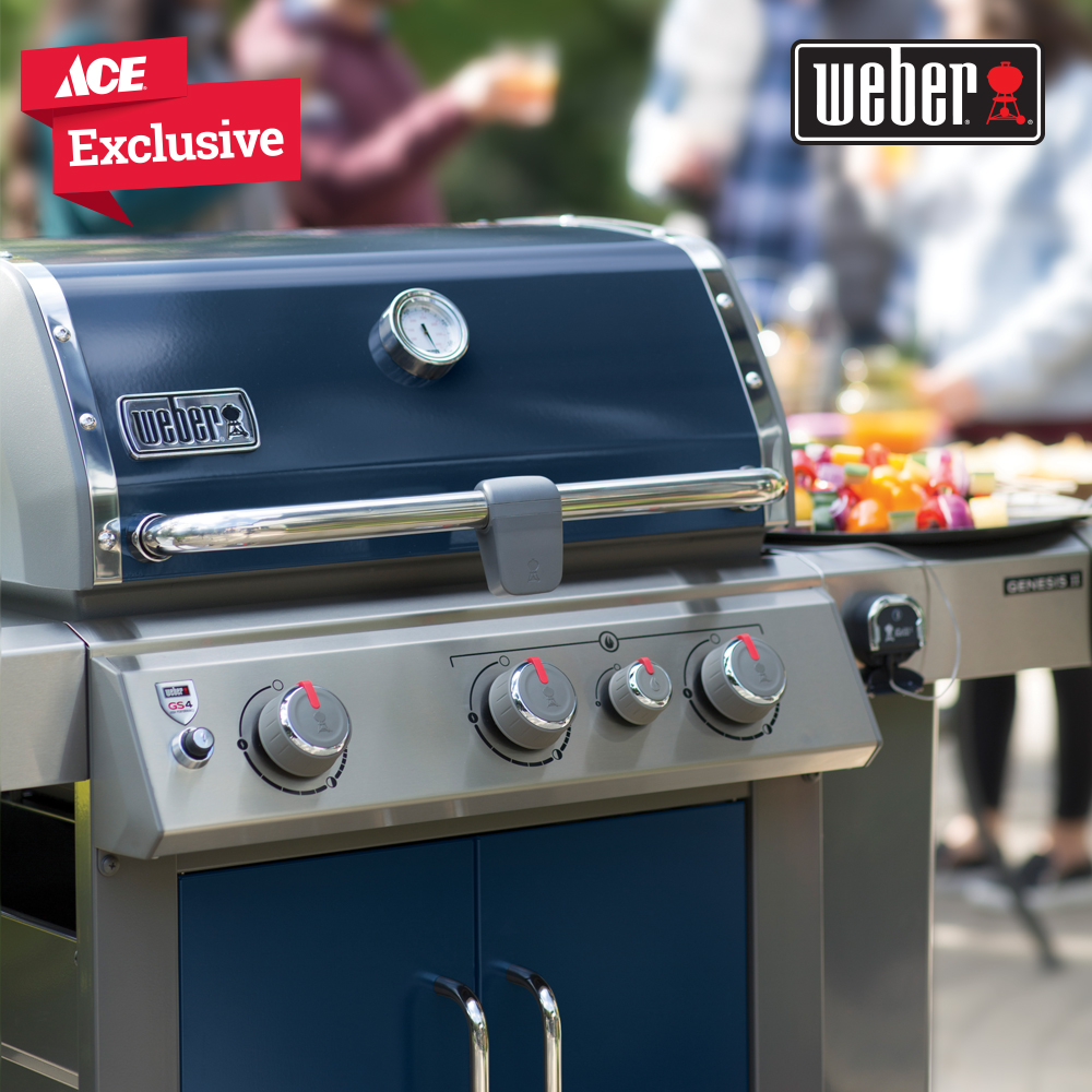 Weber Indigo