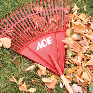 rake and leaves