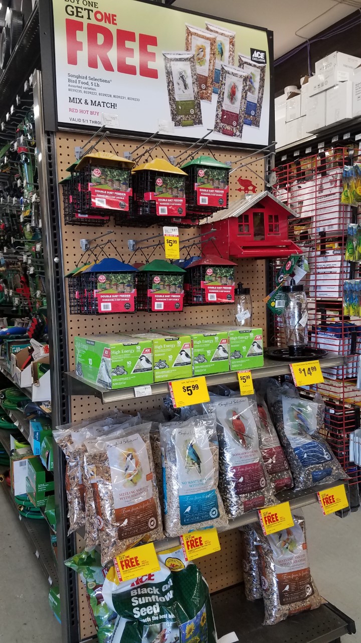 Bird Endcap