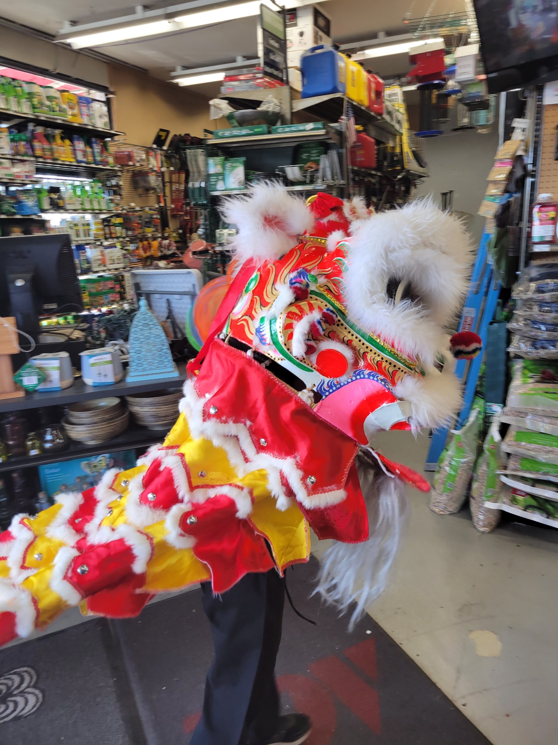 Lion Dancer at Laurel Ace 2022