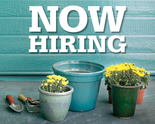 now hiring