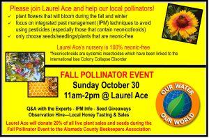 Fall Pollinator Event 10/30/22