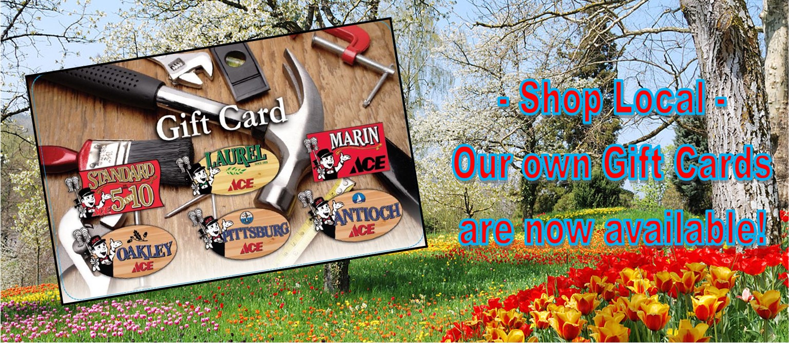 slider gift cards spring 6 store