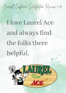 Laurel 1 24 review