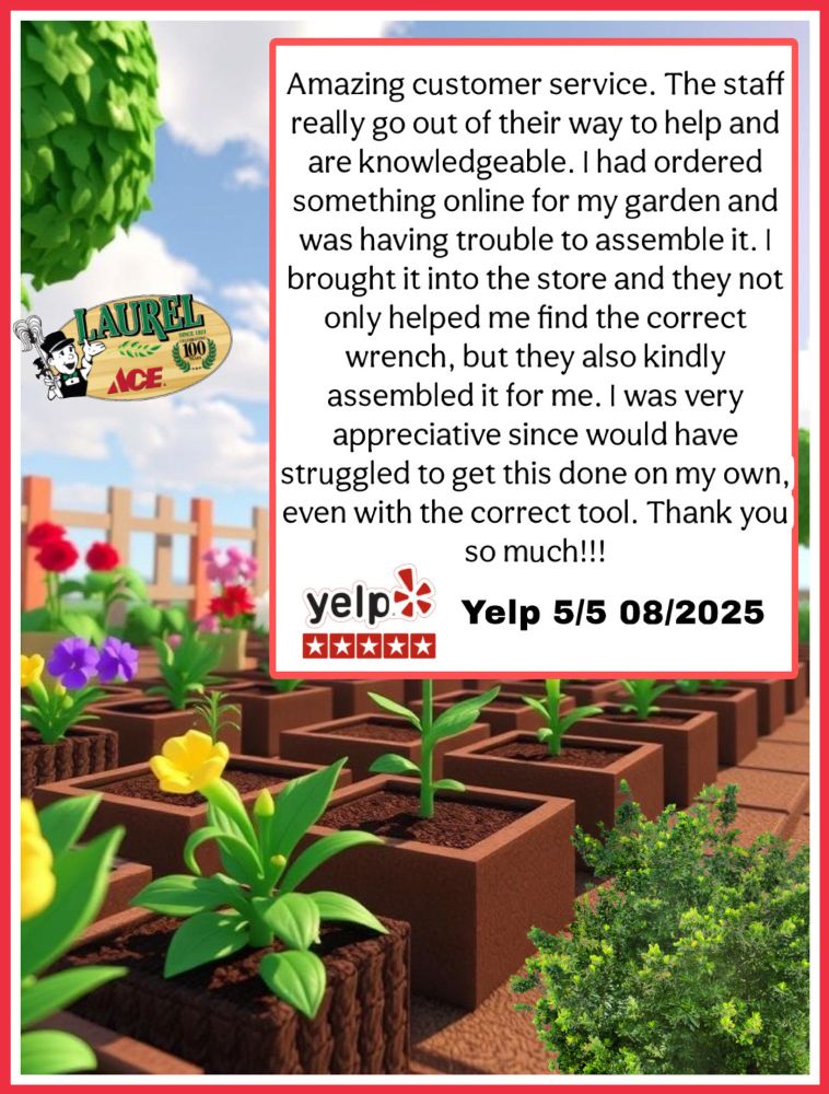 2025 Laurel Ace Review