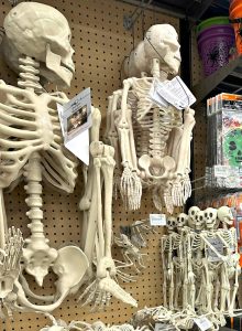 HALLOWEEN SKELETONS