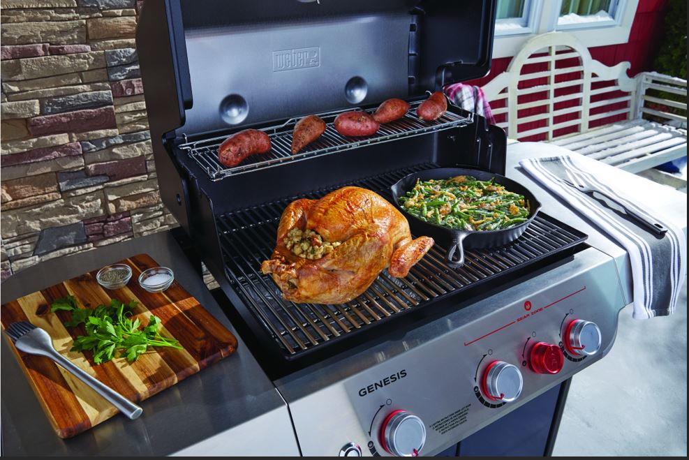weber turkey grill