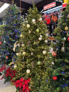 sm trees Photo Dec 02 2025, 2 27 38 PM