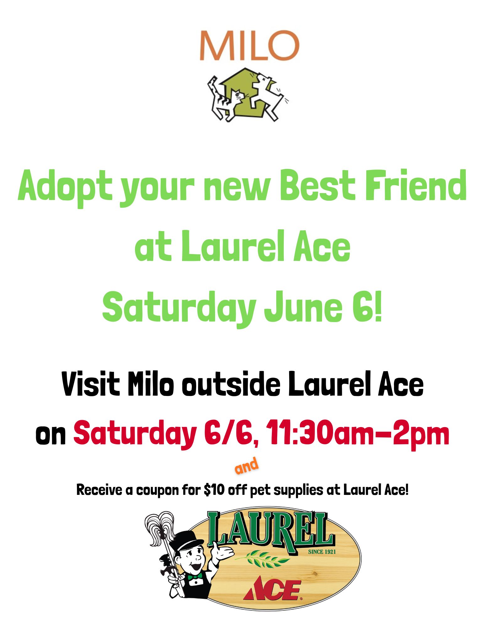 THIS SATURDAY Dog Adoptions 11:30am-2pm!
